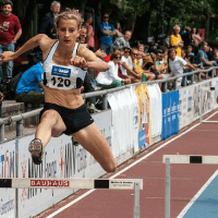 die Leichtathletik
