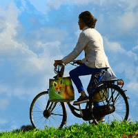 das Radfahren