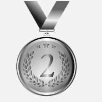 die Silbermedaille