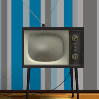 das Fernsehgerät