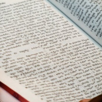 der Text