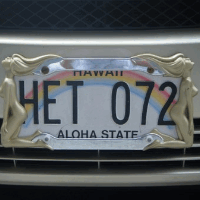 das Nummernschild