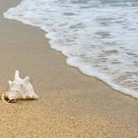 der Strand