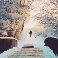 der Frost