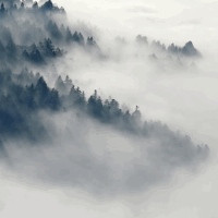 der Nebel