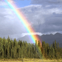 der Regenbogen