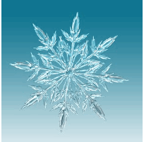 die Schneeflocke