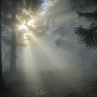 das Sonnenlicht