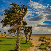 der Wind