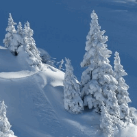 der Winter
